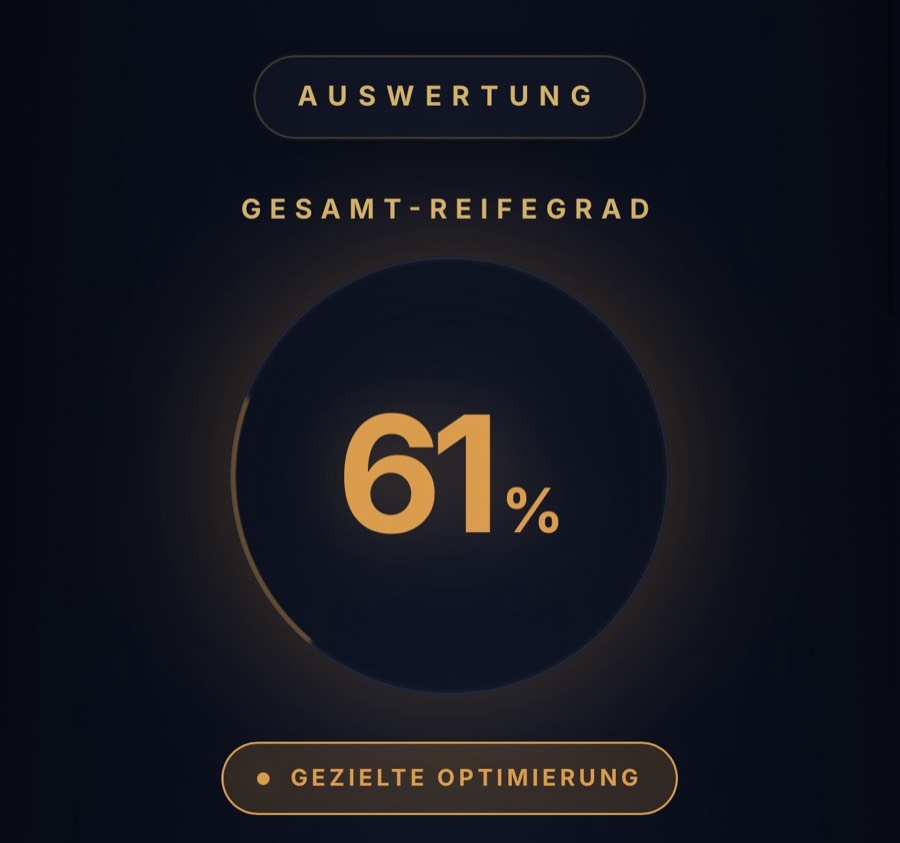 Beispielauswertung der Potenzialanalyse: Gesamt-Reifegrad als Prozentwert im Kreis